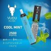 Cool Mint 2500 by Vudu