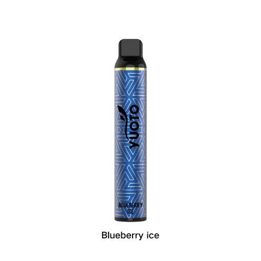 Blueberry Ice 3000 by Yuoto Luscious
