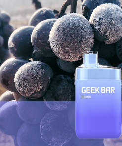 Grape Ice B5000 by Geek Bar 1